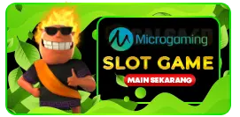 Microgaming